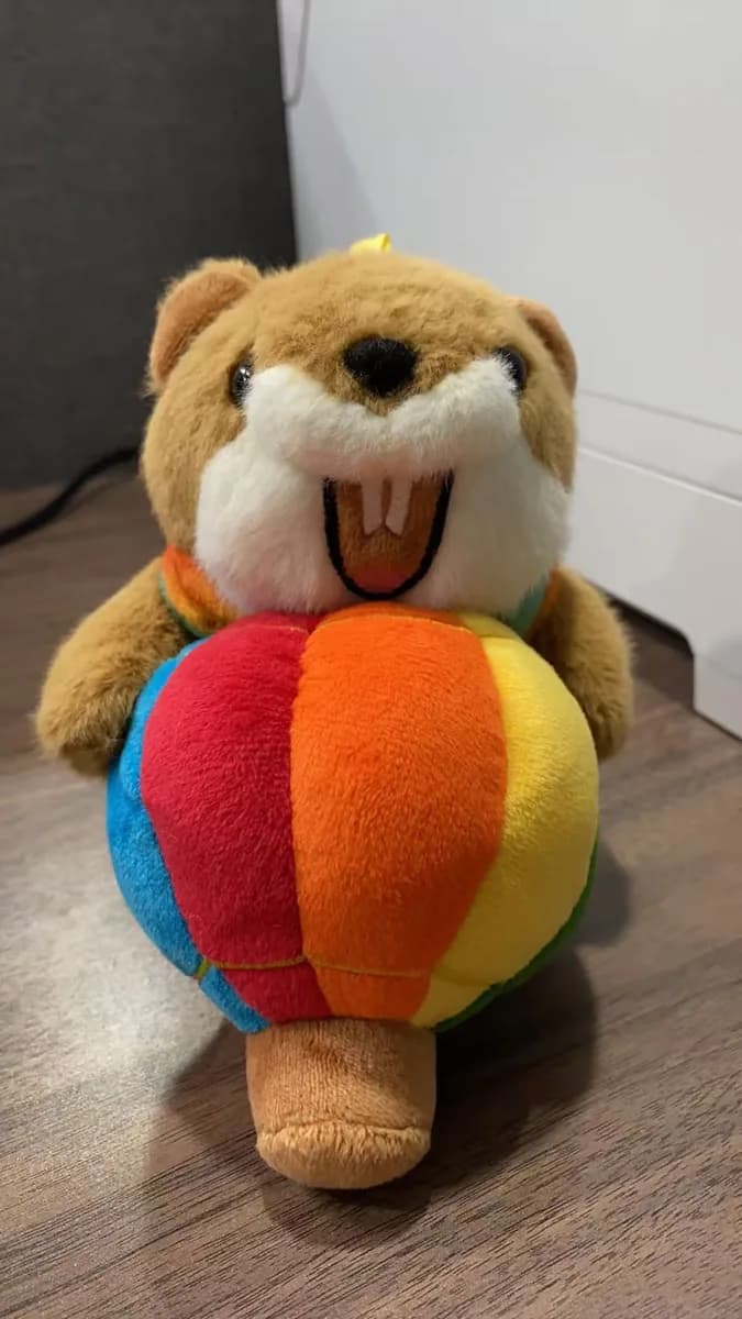 Dog plush toy holding a rainbow ball